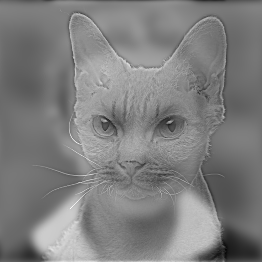 hybrid image of cat and child