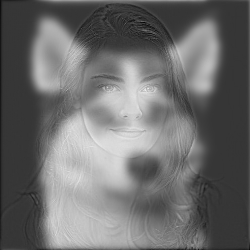 hybrid image of wolf and person