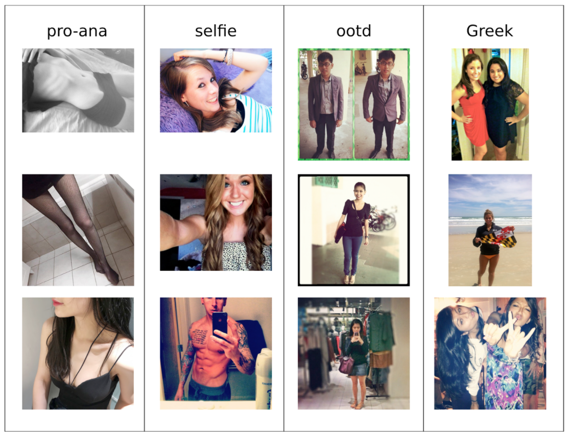 Computer Vision Proana tumblr dataset featuring images of individuals with Eating Disorders and images that fall under the hashtag #selfie or #ootd
